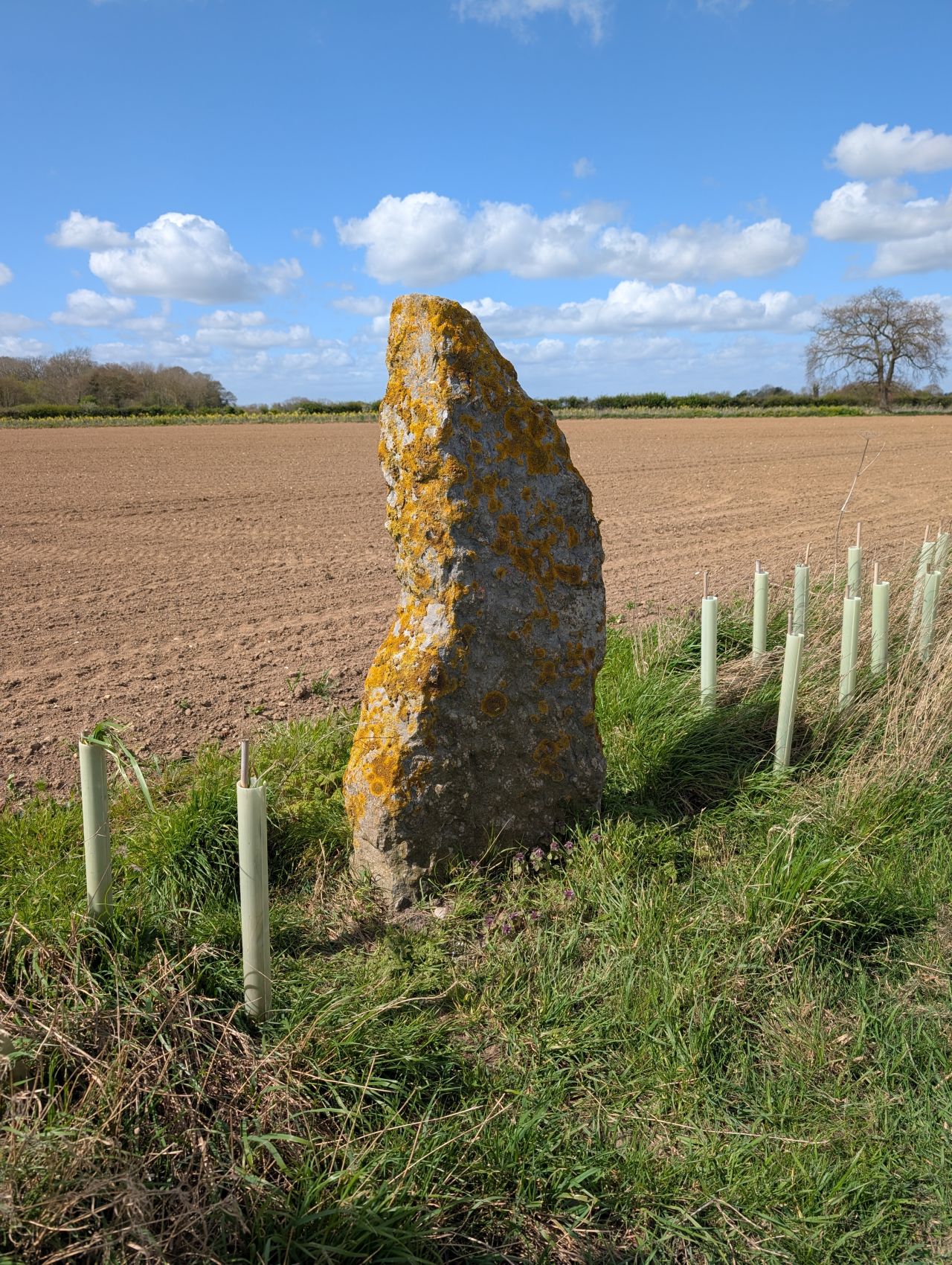 2026-04-12 23 Haddiscoe and Toft Monks.jpg